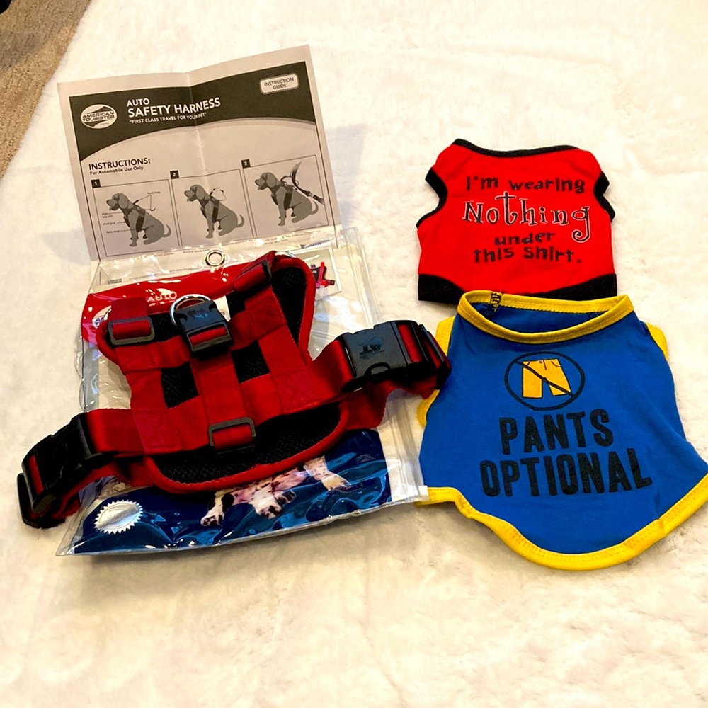 Small Dog shirts and auto harness